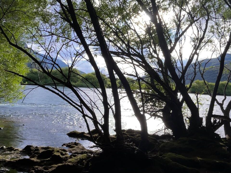 PHOTO-2026-01-30-10-24-07_1