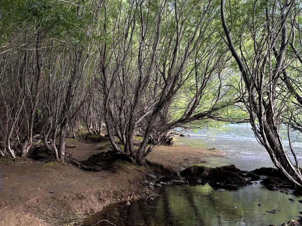 PHOTO-2026-01-30-10-24-07_2