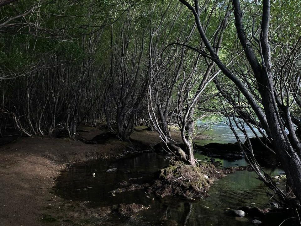 PHOTO-2026-01-30-10-24-07_4