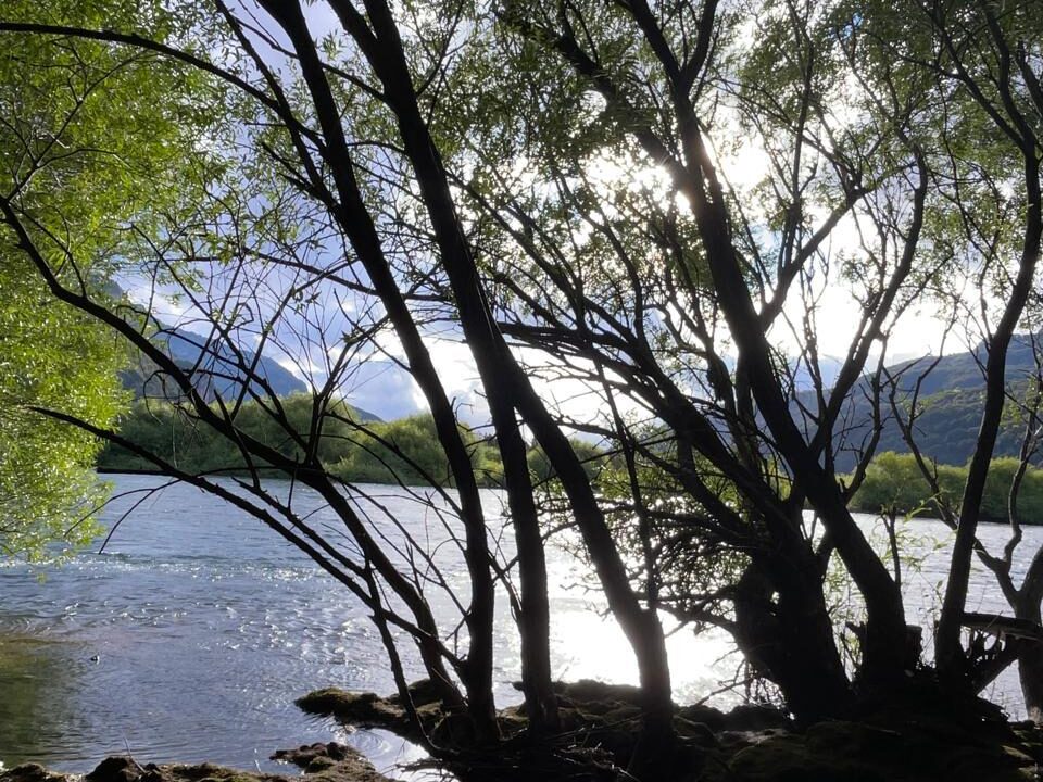 PHOTO-2026-01-30-10-24-07_5