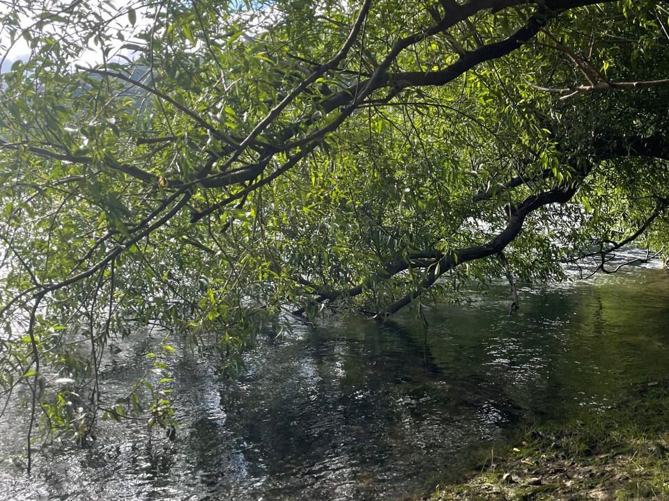 PHOTO-2026-01-30-10-24-07_8