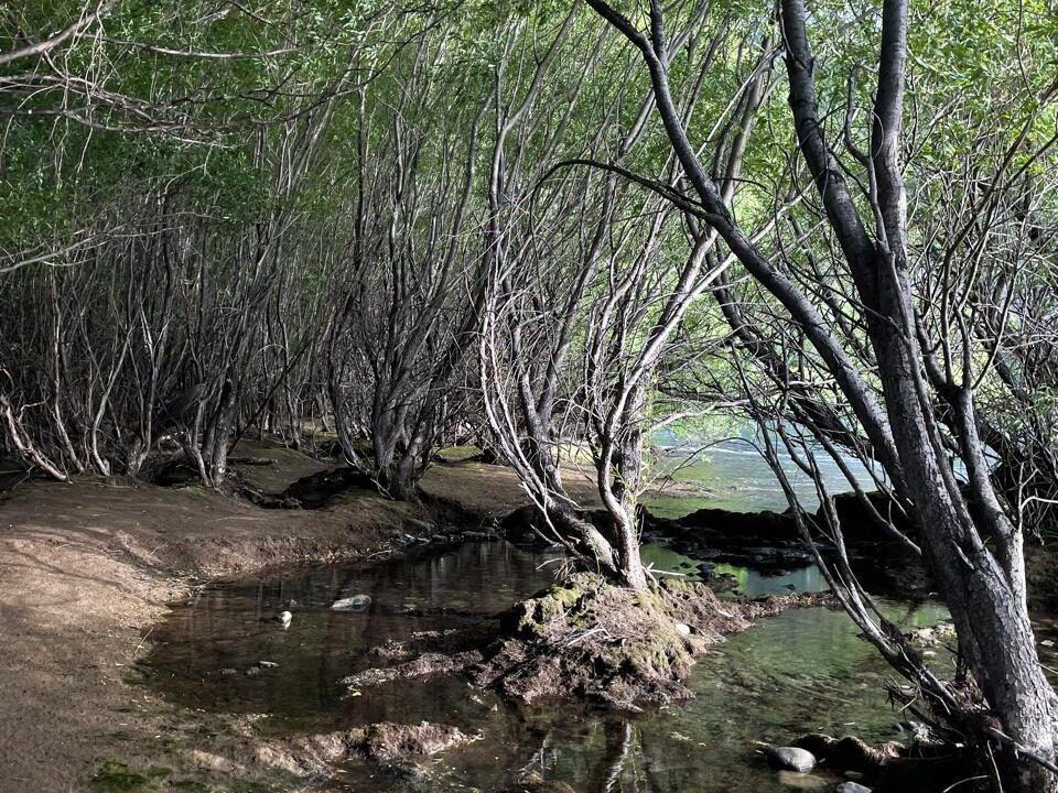 PHOTO-2026-01-30-10-24-07_9