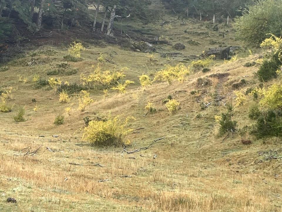 PHOTO-2025-05-19-12-40-43_3