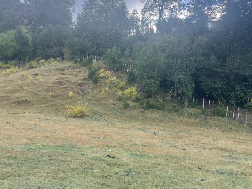 PHOTO-2025-05-19-12-40-43_5