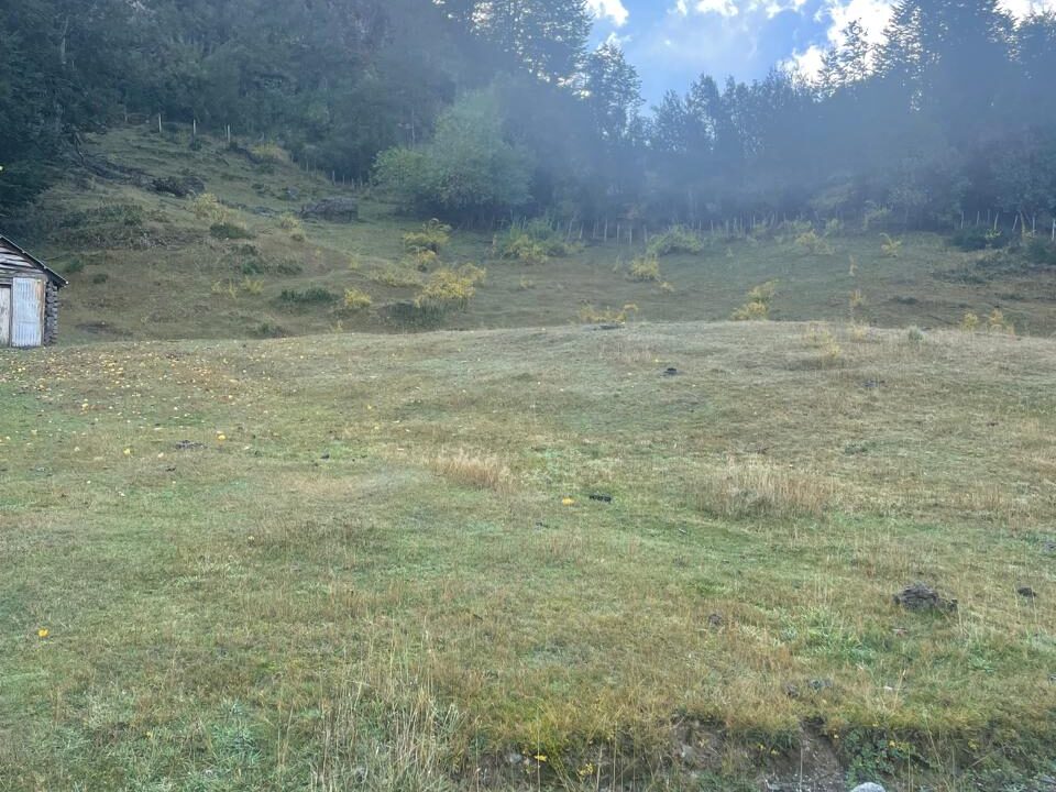 PHOTO-2025-05-19-12-40-43_6
